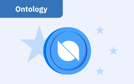 Ontology Chinese Crypto